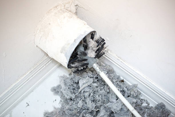 Best Local Air Duct Cleaning Services  in Point Roberts, WA